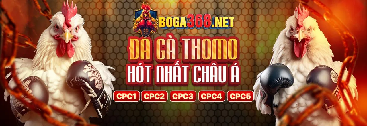 Sân vận động với giao diện cá cược thể thao EV88BET